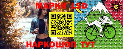 Альфа ПВП Новодвинск