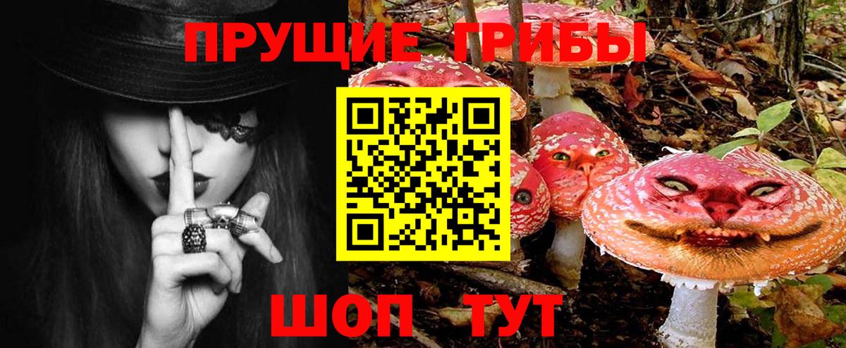 Галлюциногенные грибы Cubensis Сибай