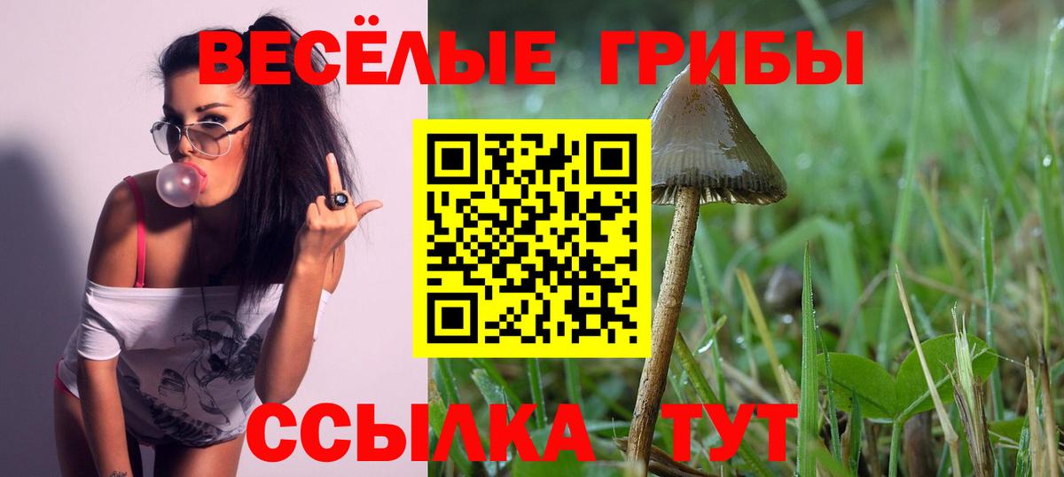 что такое наркотик  Вход с VPN  Псилоцибиновые грибы Cubensis  Сибай  Псилоцибиновые грибы прущие грибы 